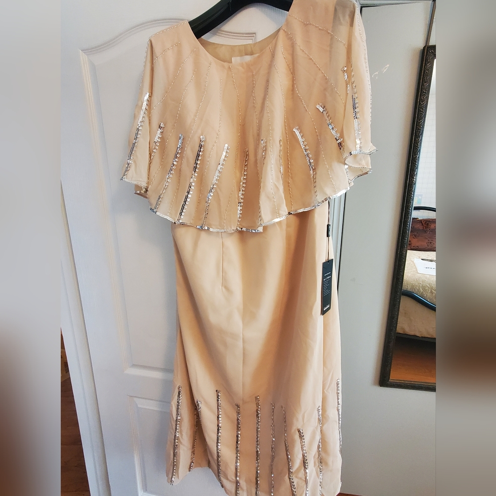 Ladies dress size L NWT Izilady